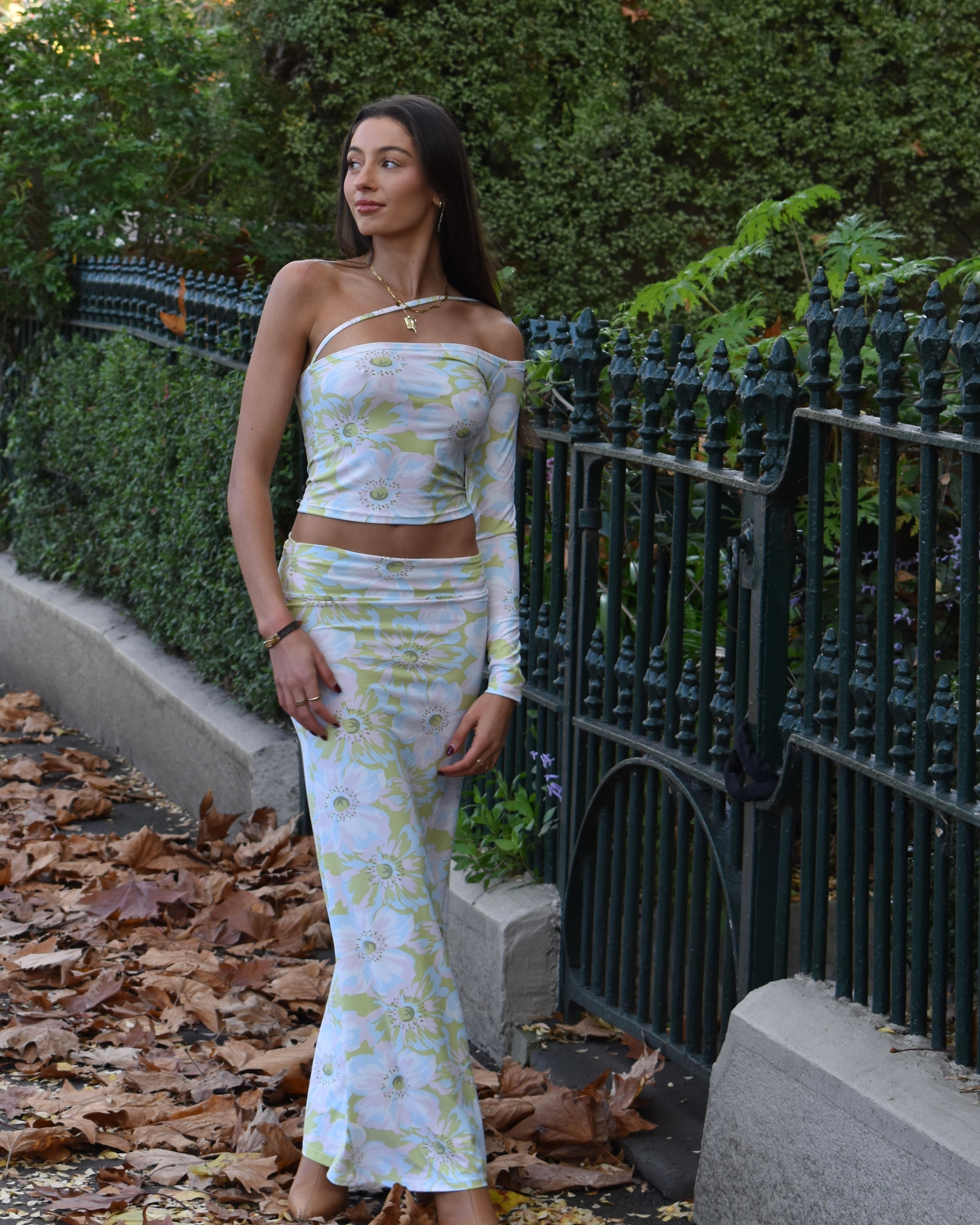 The Posie Maxi Skirt/Dress