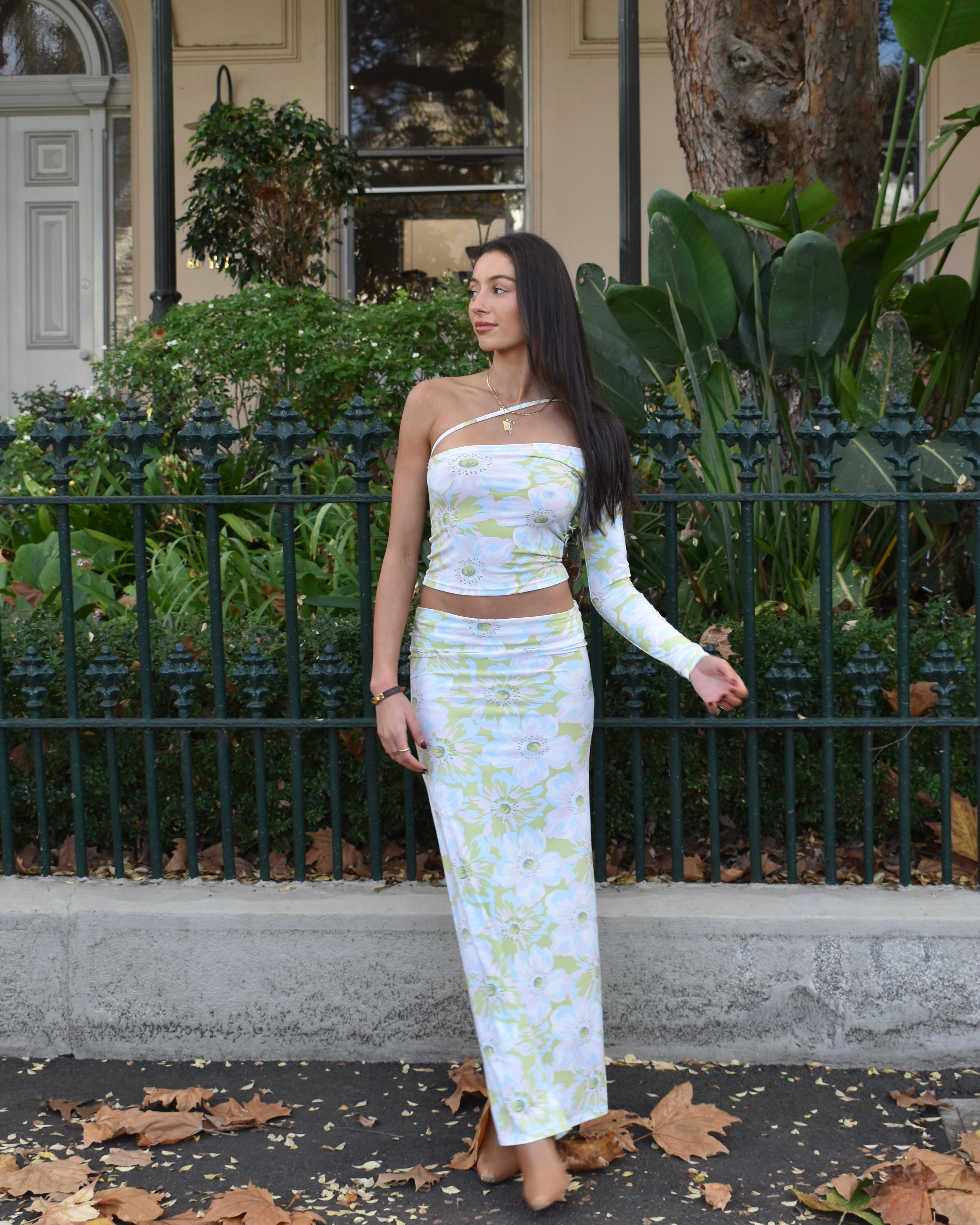 The Posie Maxi Skirt/Dress