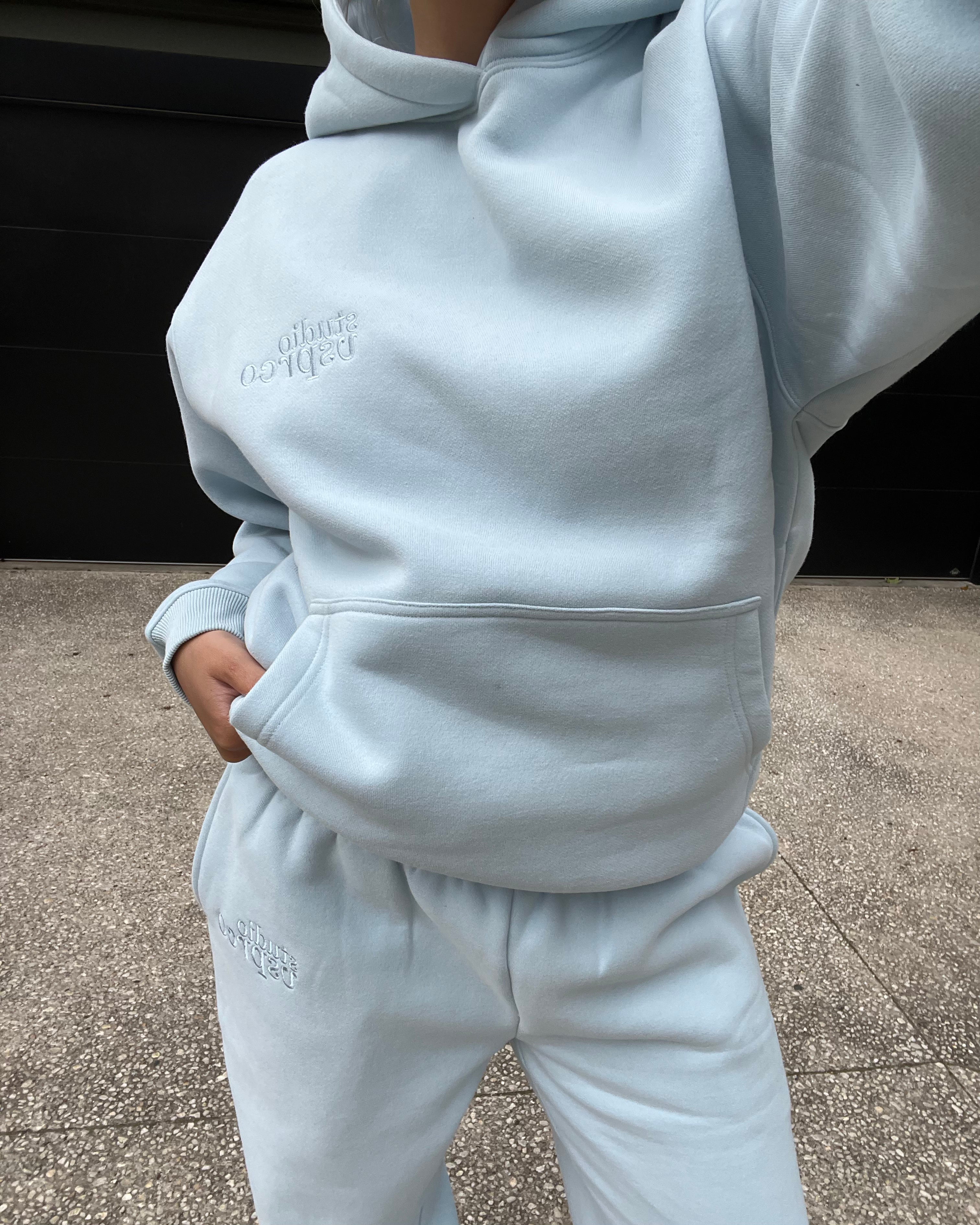 The Heavy Embroidered Hoodie in Ice Blue (Fleece)